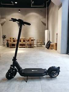 e-Scooter Model P1P