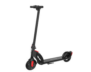 e-Scooter Model P1