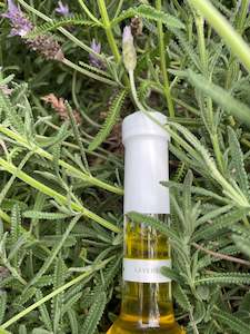 Olive growing: Lavender Infused Olive Oil    200mls