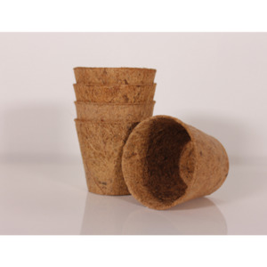 Vegetable fresh - wholesaling, washing or packing: Coir Pots Omino