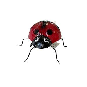 Lady Bird - Small  (6 Per Set) - Sa39