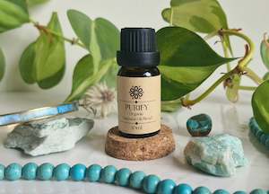 The Mould Project - Purify Organic Essential Oil Blend