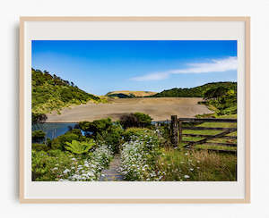 Bethells Beach: View from the Top