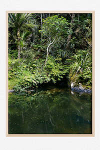 New Zealand Landscape Images: Emerald Passage