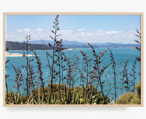 New Zealand Landscape Images: Harbour's Edge