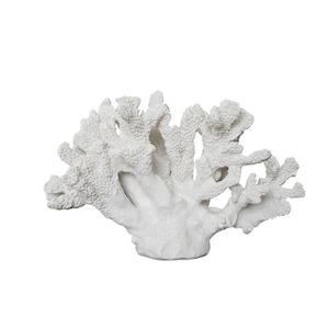 Wall Decor Decorative: Georgia White Coral Ornament L30cm