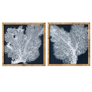 Seychelles Coral in Rattan Frame Set of 2 Wall Art