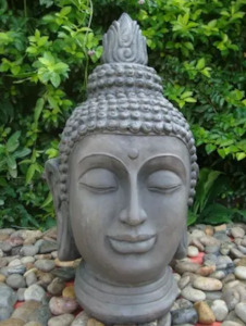 Internet only: Buddha Head