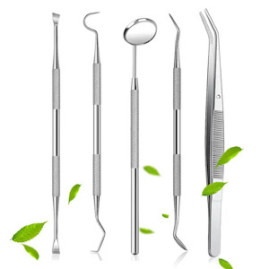 5pcs Dental Hygiene Kit, Portable Dental Tools, Teeth Cleaning Kit, Stainless St…