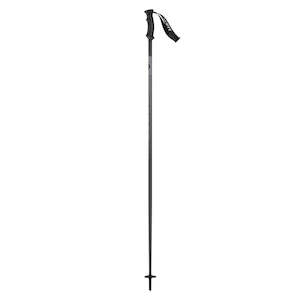 Sporting equipment: Ski Pole 540 P-Lite