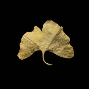 Michael Michaud Large Ginkgo Brooch - 5532BZ