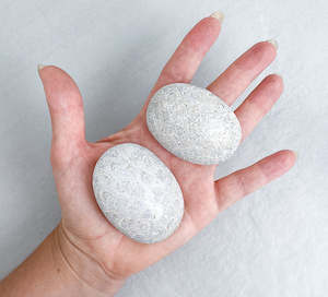 Coral Fossil Palm Stones | Wisdom