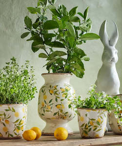 French Country Botanical Lemon Urn