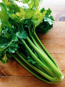 Specialised food: Celery Bunch