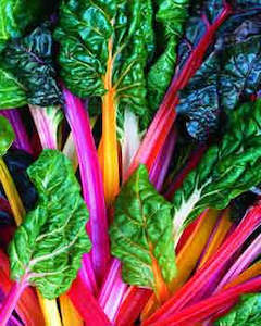 Specialised food: Rainbow Chard, bunch