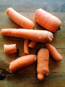 Specialised food: Carrots - Juicing