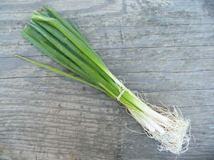 Spring Onions - bunch