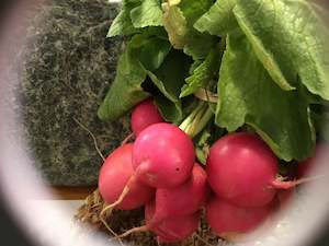 Radishes, Bunch