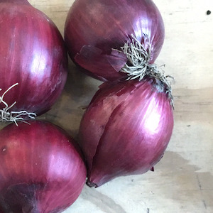 Specialised food: Onions, Red