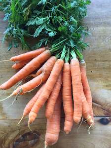 Carrots Bunch