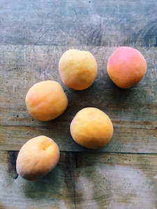 Apricots