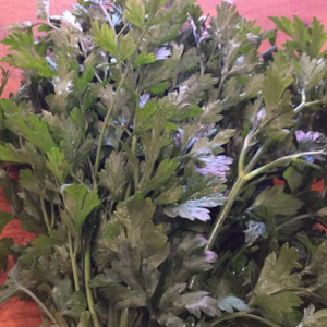 Specialised food: Parsley Flatleaf bunch