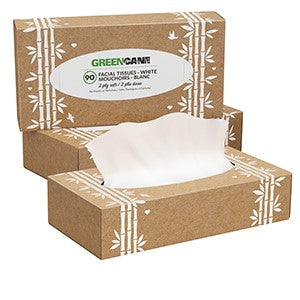 General store operation - mainly grocery: GreenCane - Facial Tissues - [90 Tissues]