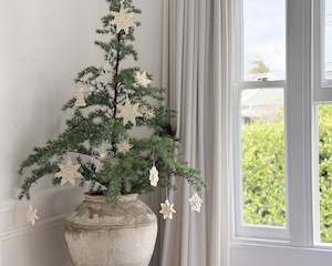 Potted Douglas Fir Chrsimtas Tree