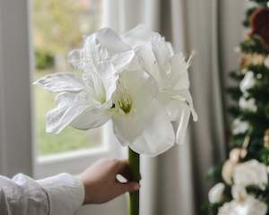 Gift: Faux Amaryllis Bunched Flower Stem