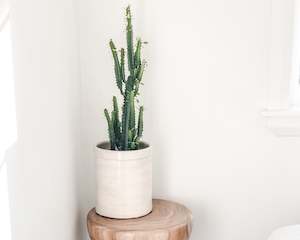 Crock | Antique Ivory