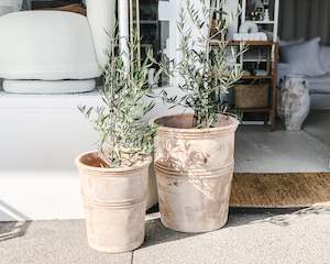 Olive Planter