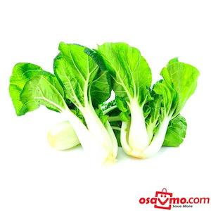 Investment: NEW ZEALAND Fresh Guang Dong Bai cai 1Bunch