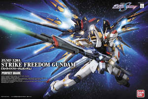 Strike Freedom Gundam | PG 1/60