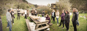 Mushroom Cultivation Workshop - Dunedin MycoLogic