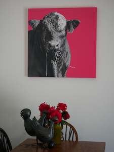 Creative art: All BULL Pink