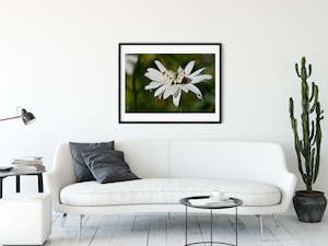 White Butterfly on Flower