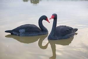 Game On 34" Black Swan Decoys: 2-Pack