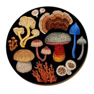 Gift: NZ Fungi Bolete - Placemat