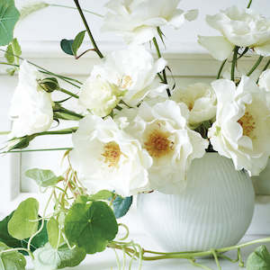 Gift: White Folia Rose Bowl 13cm