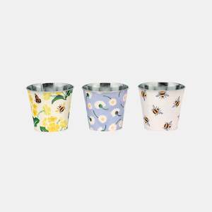 Spring Plant Pots - Set Of 3