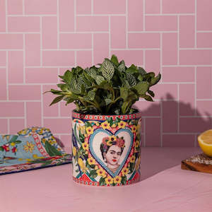 Mexican Folklore Small - Planter Pot