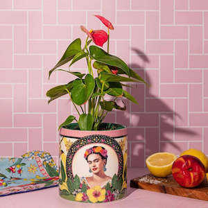 Mexican Folklore Medium - Planter Pot