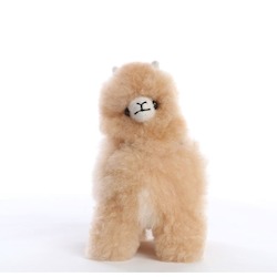 Toy Alpaca Small 20cm