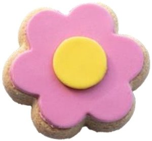 Internet only: Molly Woppy Shortbread Daisy Biscuit