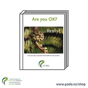 Book: Are you OK? …Really?