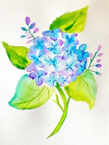 Art school: Watercolour Hydrangea | 27/02/2025 - Good Union, Cambridge