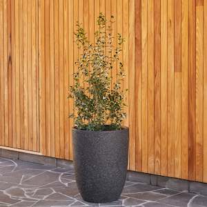 Plant, garden: Chambers U Pot - Black Stone - Medium - 45x45x58