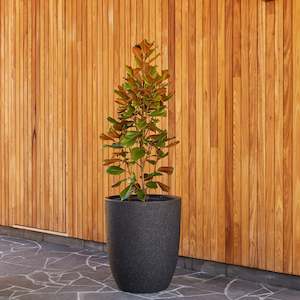 Plant, garden: Chambers U Pot - Black Stone - Large - 55x55x65