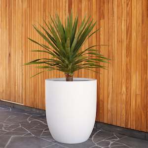 Plant, garden: Chambers U Pot - White - Extra Large - 64x64x73