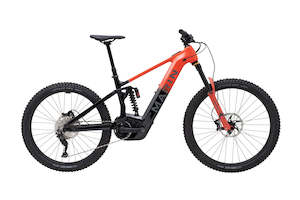 24 ALPINE TRAIL E1 29"